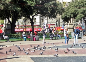 2015-04-10 Barcelona IMG_2013 Tauben+Menschen an der Plaza de Catalunya