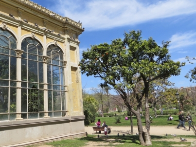 2015-04-10 Barcelona IMG_2163 Parc de la Ciutadella Hivernacle-Wintergarten+Tauben+Orangen+Leute