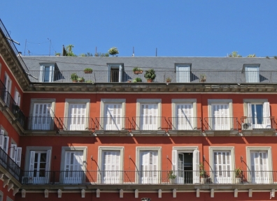 2017-04-11_11 MADRID-Urlaub (151) Plaza Mayor - Dach mit Topfpflanzen
