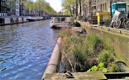 2019-04-13 NL Amsterdam Prinsengracht (14) am Hausboot-Museum ‚Hendrika Maria' Prinsengracht 296 K