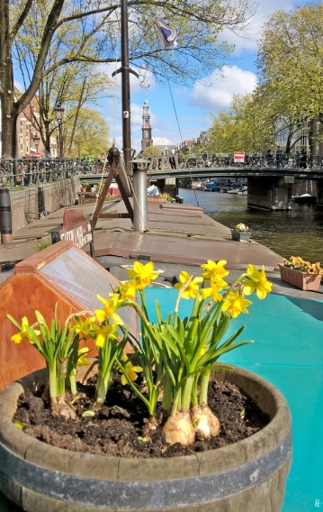 2019-04-13 NL Amsterdam Prinsengracht (17) Blick vom Museumsboot zur Berensluis